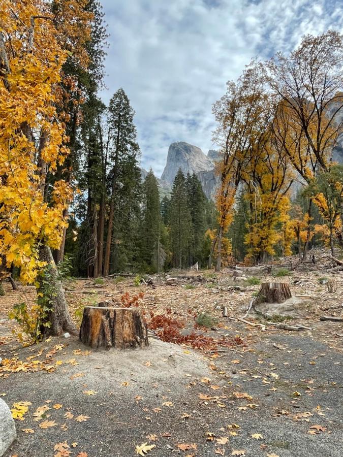 Yosemite Escapes - Pine Mountain Lake Groveland Εξωτερικό φωτογραφία